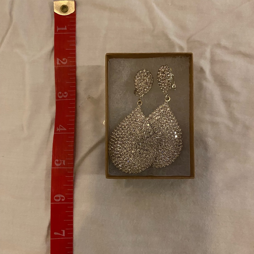 Silver sparkling earrings